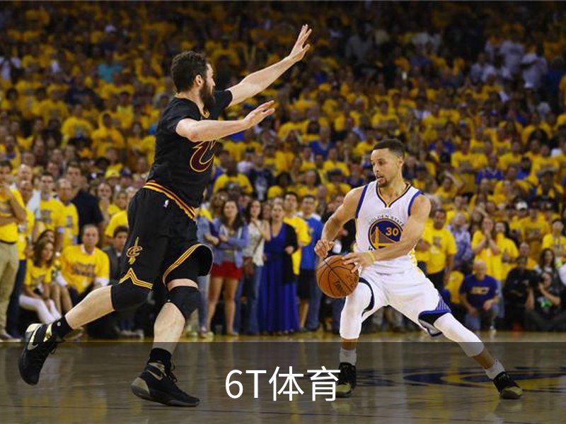 6T体育介绍